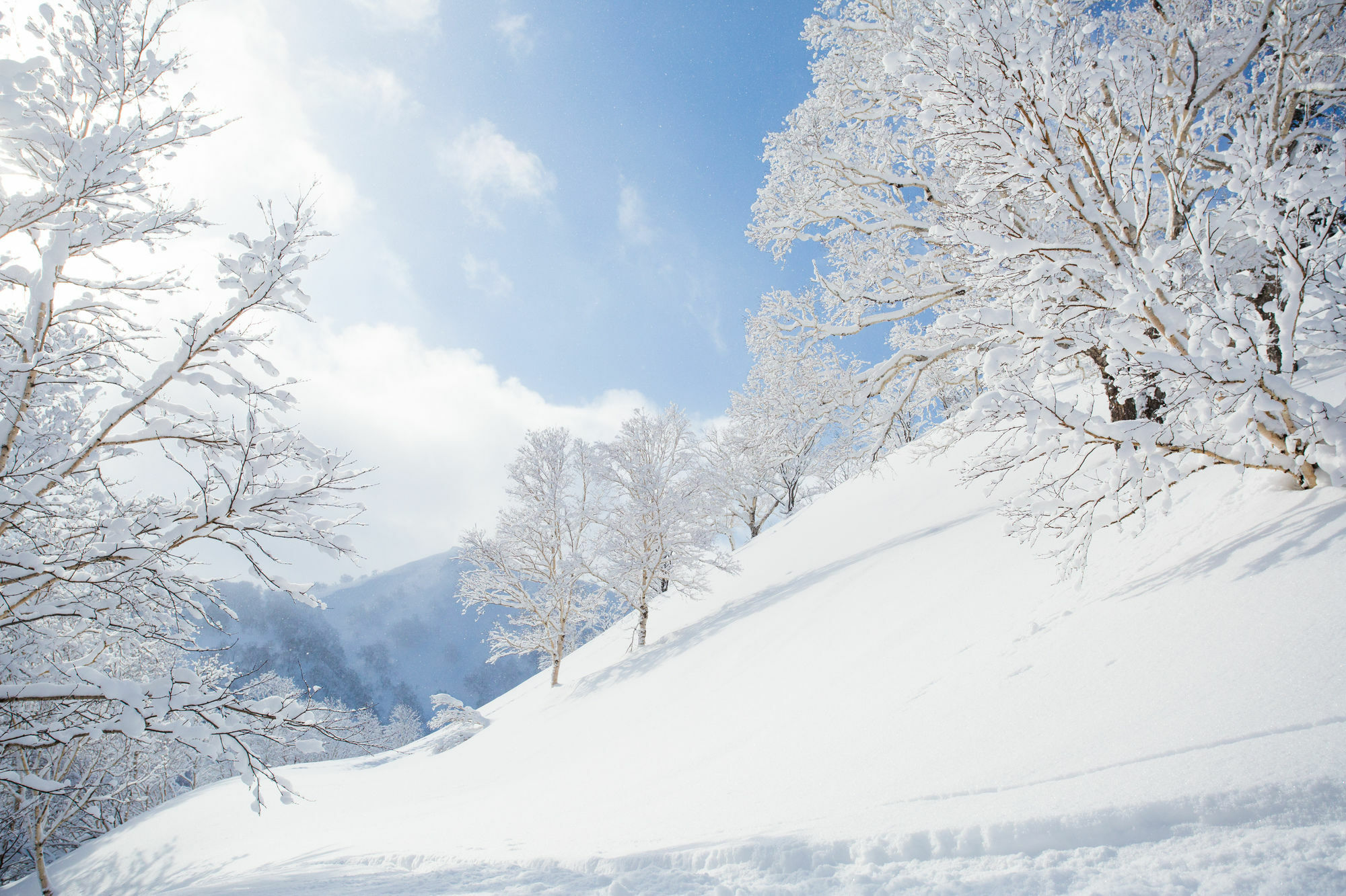 Pension Alice Niseko Extérieur photo
